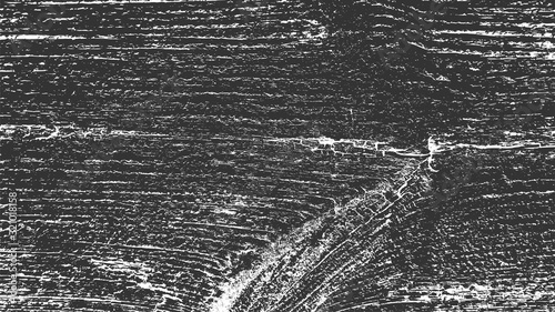 Wood Vector Texture. Black and White Rough Background. Grunge Backdrop