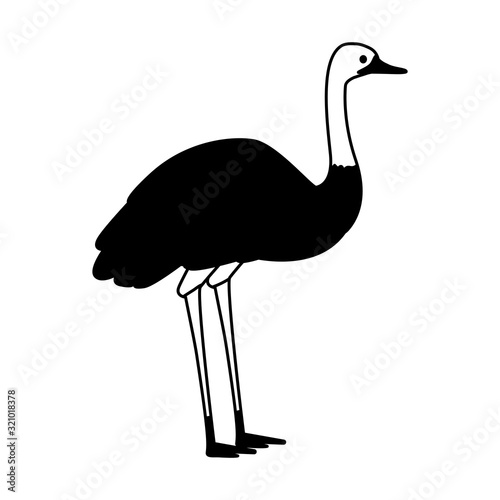 cute emu on white background