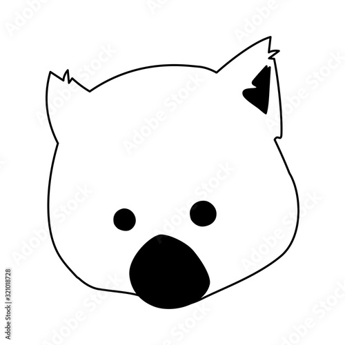 head of wombat on white background