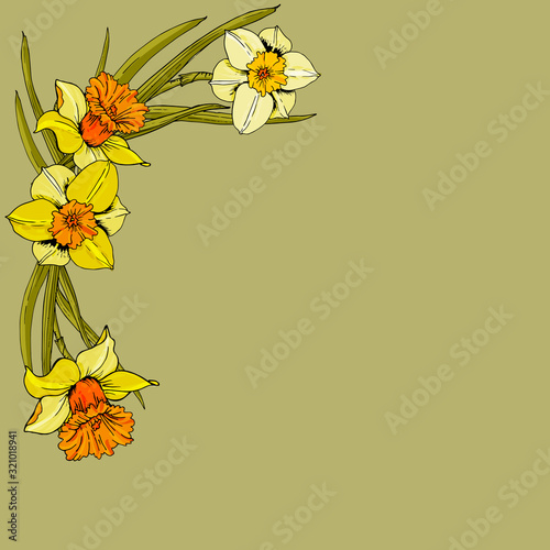 Elegant floral backgrounds with daffodil garden flower, delicate greenery, print frame, copy space.