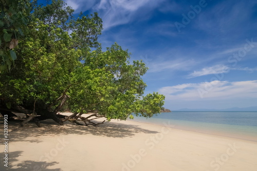 view of Mangrove tree on white sand beach with blue-green sea and blue sky background, Kwang Peeb Beach, Ao Kwang Peeb, Ko Phayam (Ko Payam) island, Ranong, southern of Thailand. © Yuttana Joe