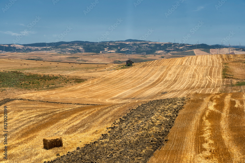 Rural landscape in Basilicata at summer Rural landscape in Basilicata at summer