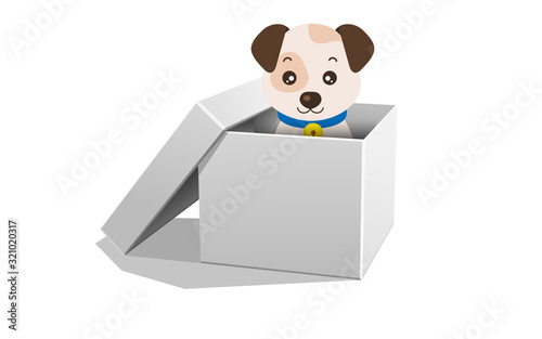 Puppy in the white paper box on the white background