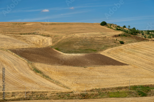 Rural landscape in Basilicata at summer