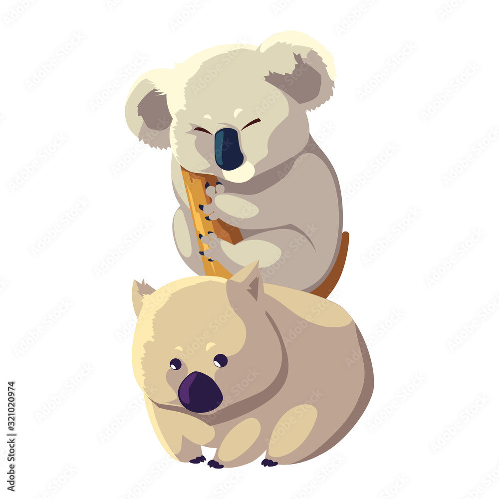 koala and wombat on white background koala and wombat on white background