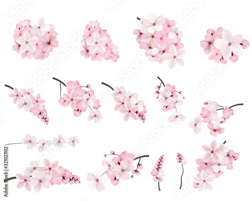 Beautiful blossoming pink sakura flowers on branches. photo