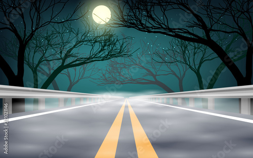 landscape of foggy on the road in the night	