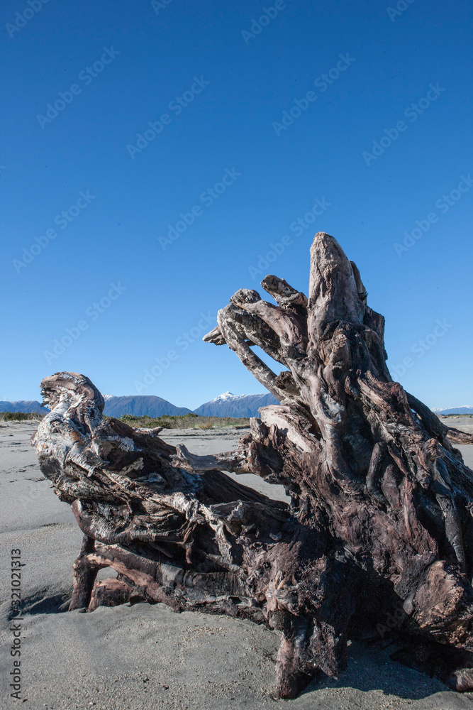 Beach and driftwood near Haast. Westcoast New Zealand