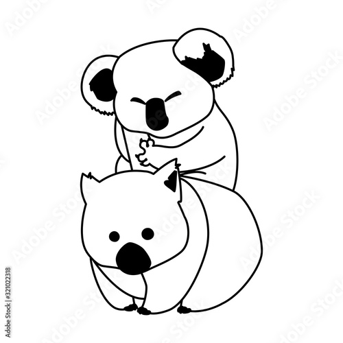 koala and wombat on white background