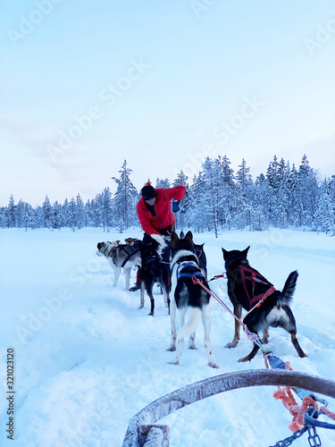 Man sliding in the snow with sled dogs.