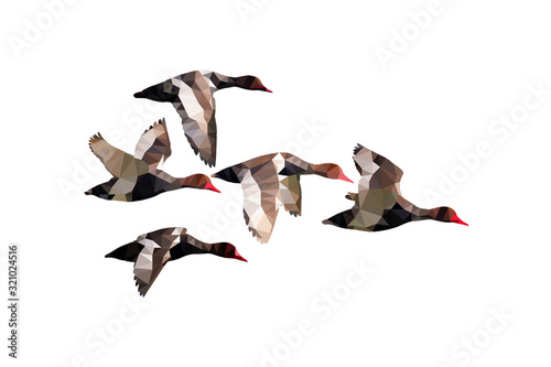 Bird polygonal low poly geometric. Flock flying ducks. White background. photo