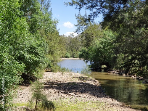 River in the bush