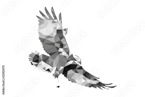 Bird polygonal low poly geometric. Bird of prey. White background.