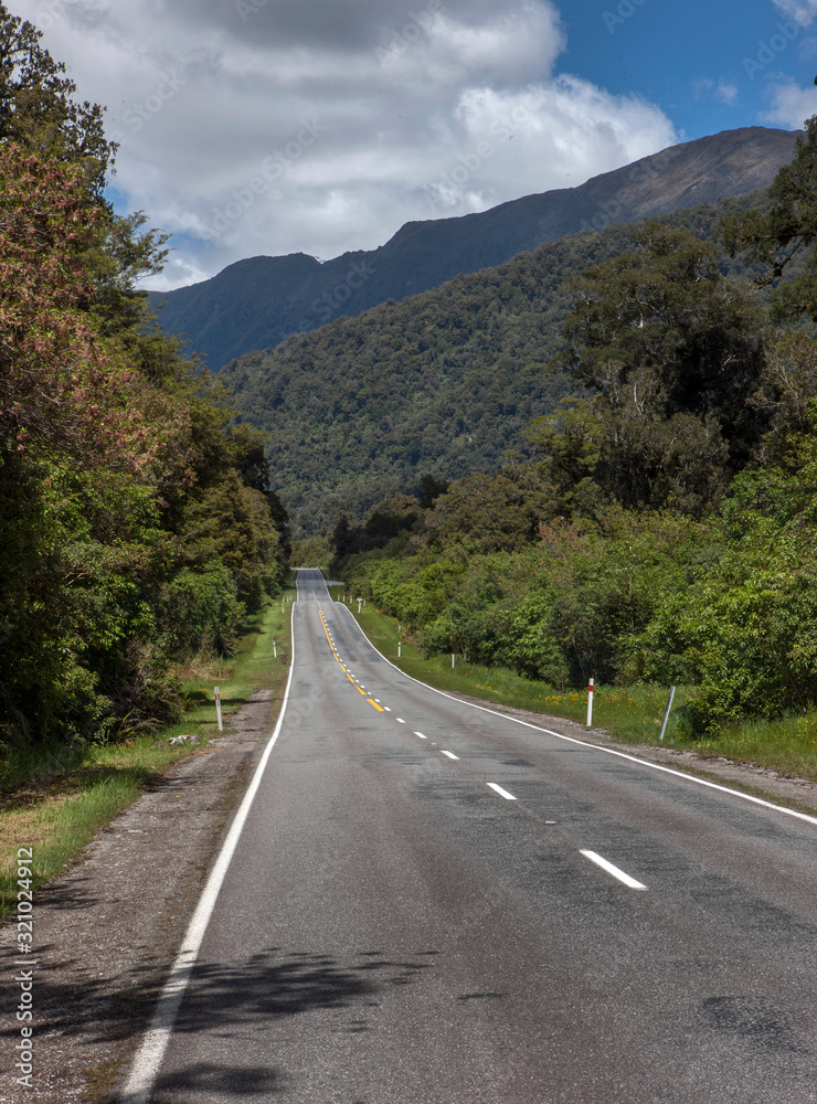 Highway 6 Westcoast. Near Bruce Bay New Zealand