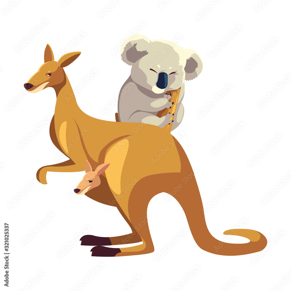 kangaroo and koala on white background kangaroo and koala on white background