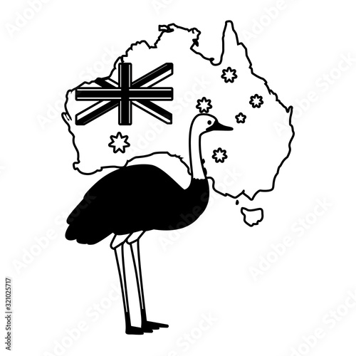 emu with map of australia in the background photo