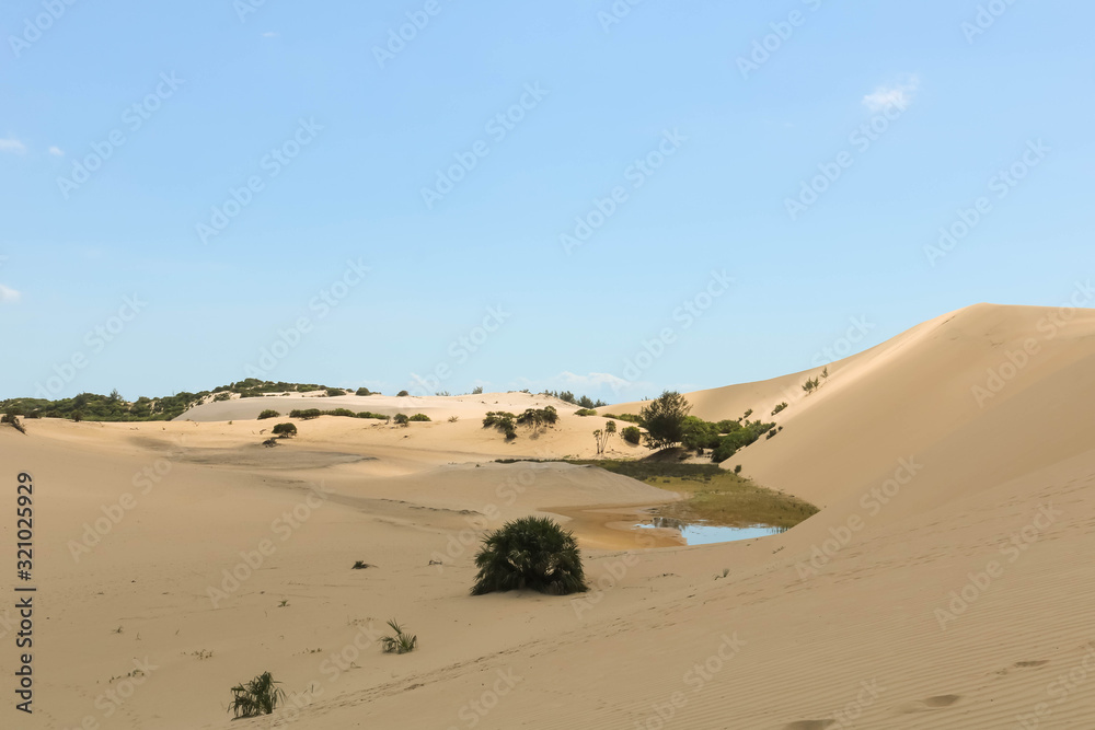 water lake in the desert with few bushes