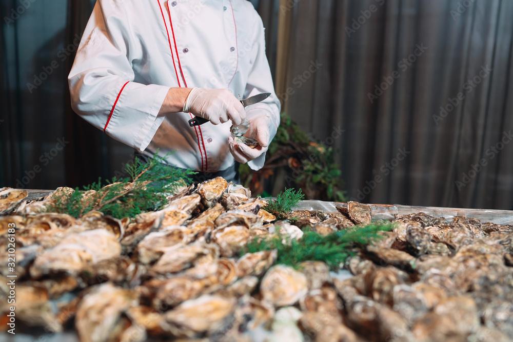 The chef opens oysters in the restaurant. The chef opens oysters in the restaurant.