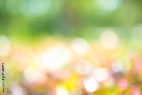 Image of green blurred garden background.