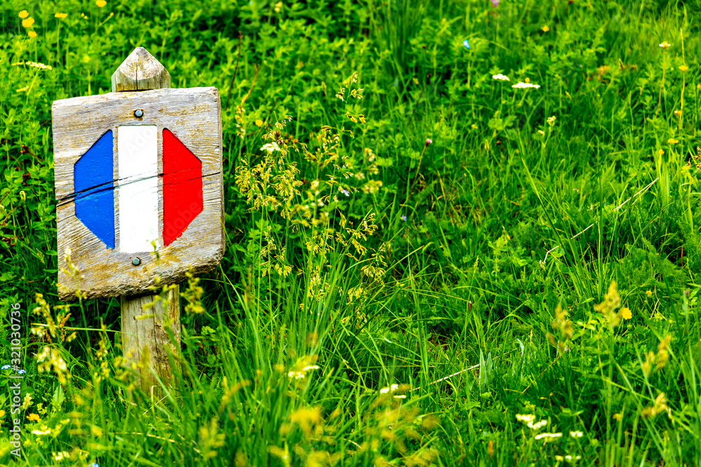 French flag on a background of green grass. French flag on a background of green grass.