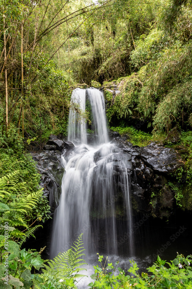 bale mountains natinalpark in southern ethiopia