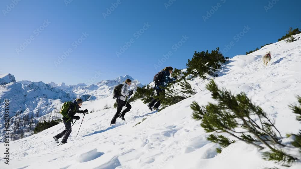 Group of climbers ascends to the snow-capped mountain in Alps