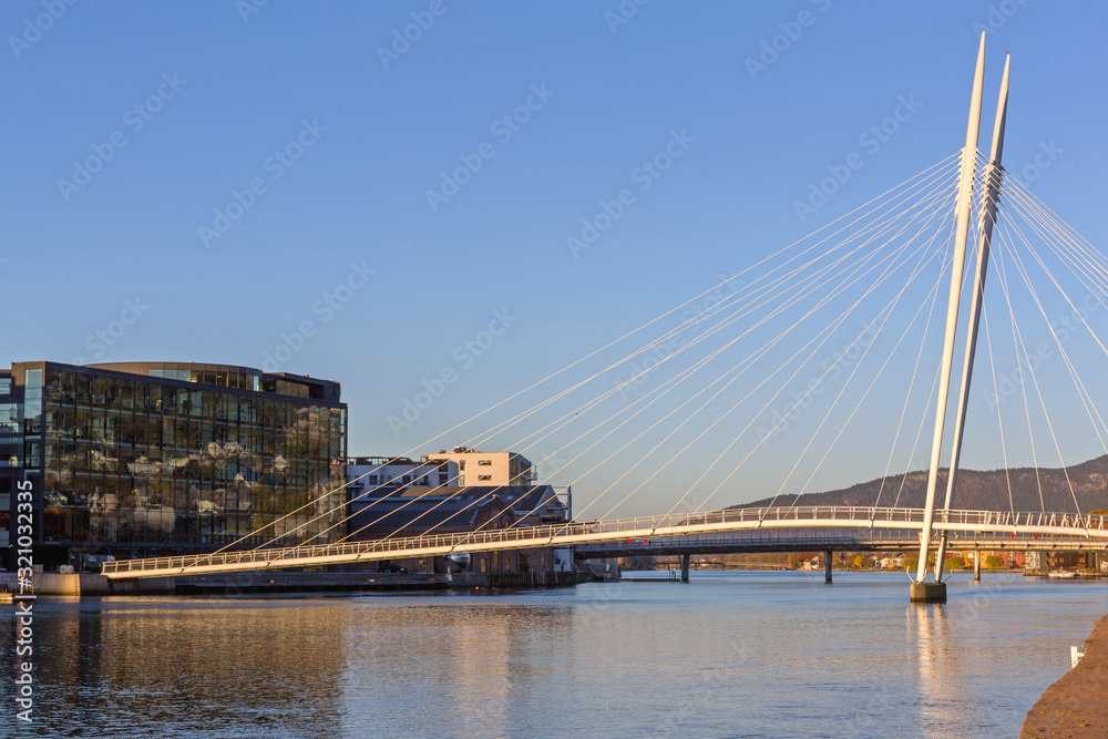 Obraz premium Ypsilon Bridge