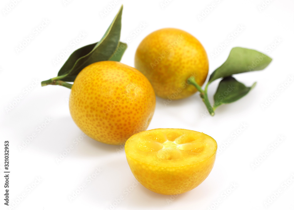 KUMQUAT