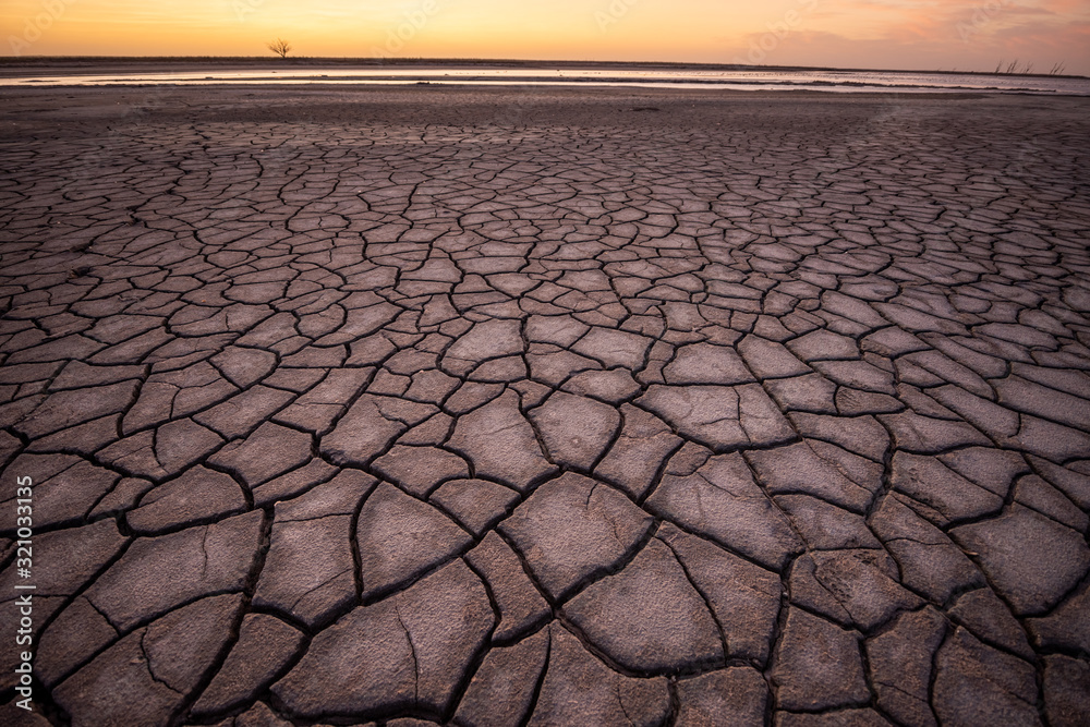 Αυτοκόλλητο Drought on the pampas