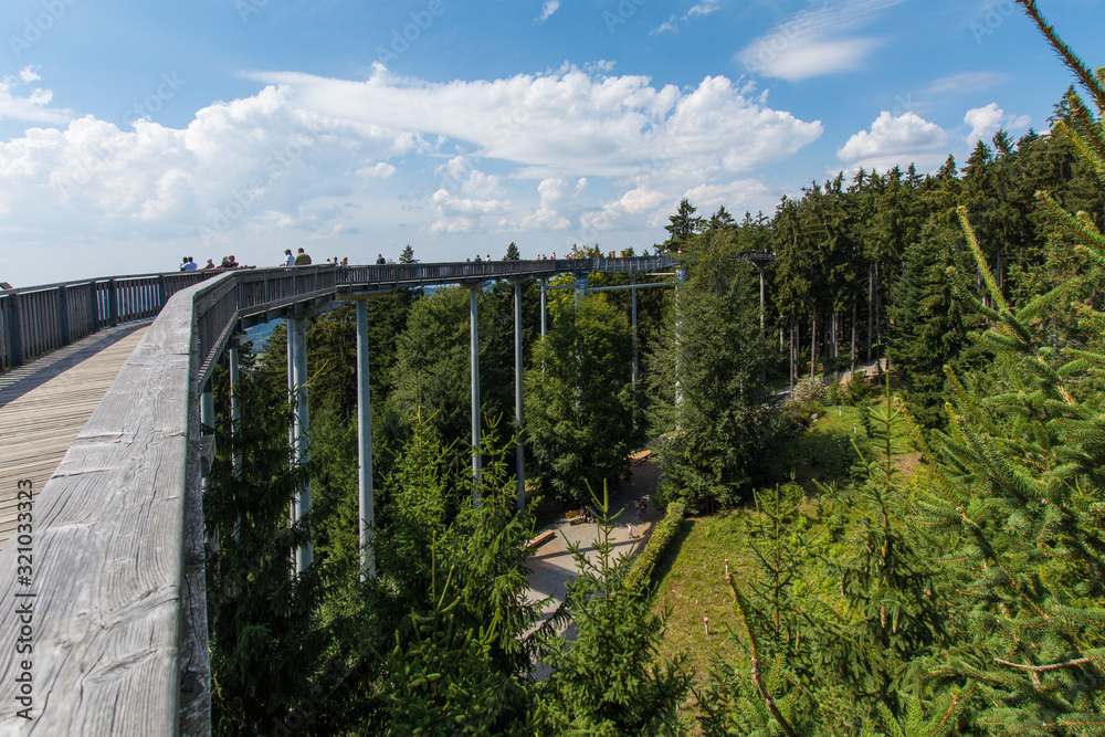 Fotografie Wald Wipfel Weg Sankt Englmar