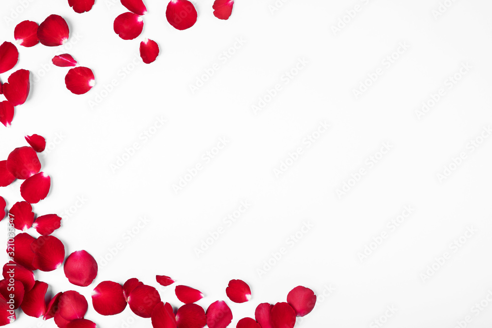 Valentine's day, Flowers round frame made of rose flowers on blue background, Valentines day background.