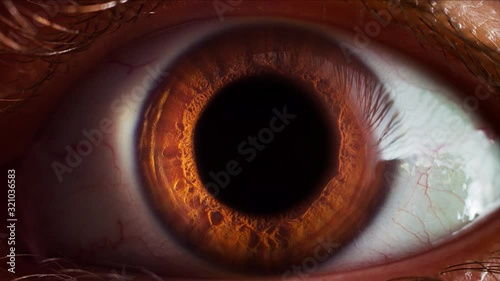 Human eye iris opening pupil extreme close up slow motion 60fps 4k photo