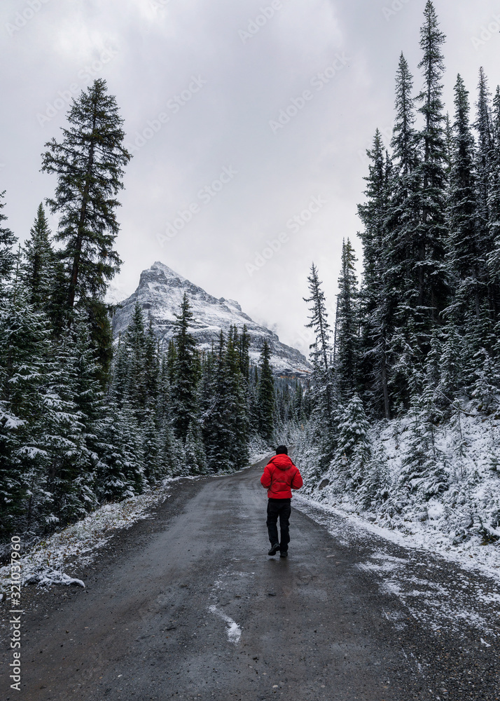 Man traveler walking on dirty road in snow covered pine forest on winter at Yoho national park