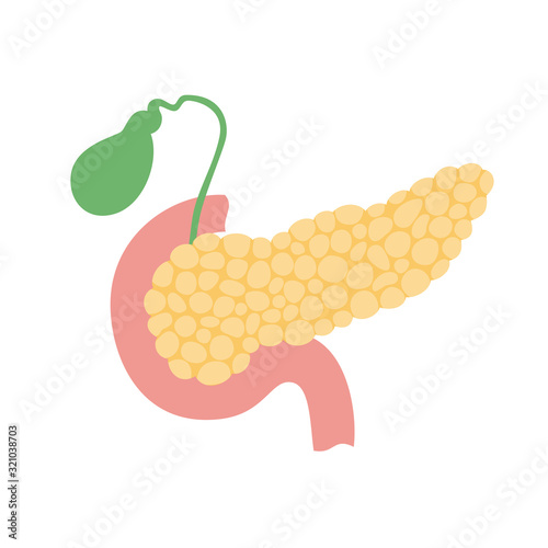 pancreas and gallbladder