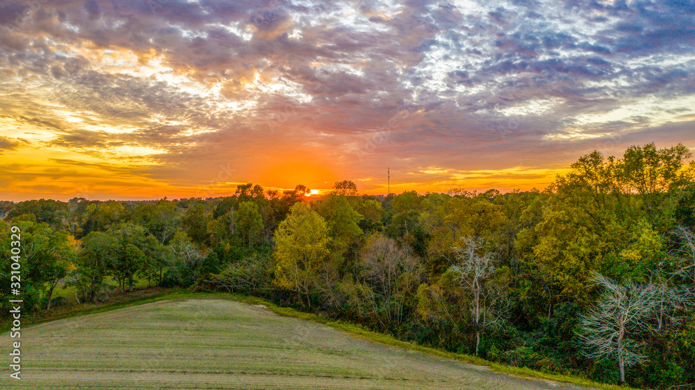sunset on South Georgia field