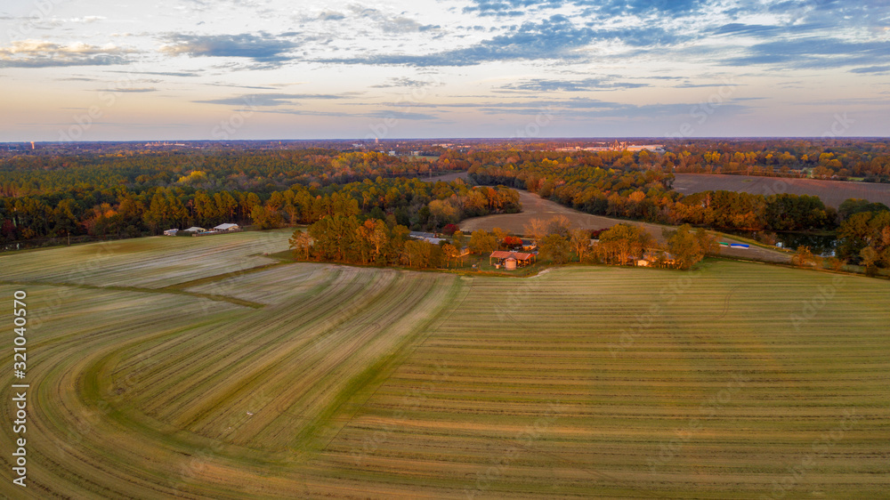 Fototapeta premium Tifton Farm