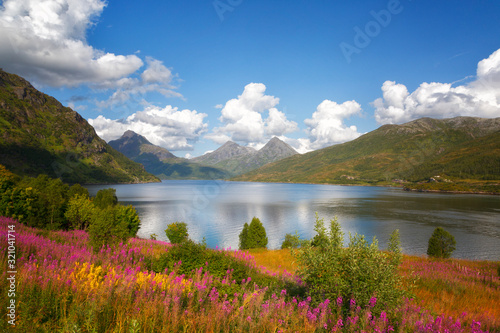 Fototapeta Naklejka Na Ścianę i Meble -  Beautiful summer Norwegian landscape with a lake and mountains