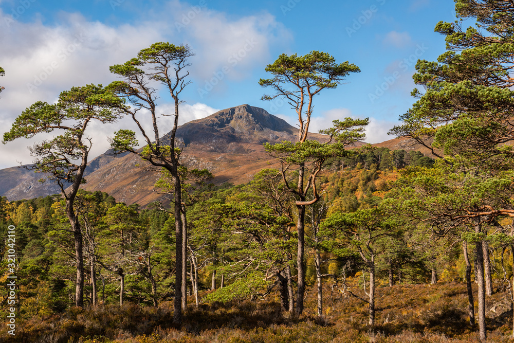 Sgurr na Lapaich in Glen Affric Sgurr na Lapaich in Glen Affric