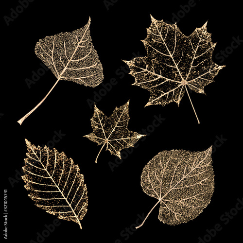 Set of gold skeleton leaves on black background