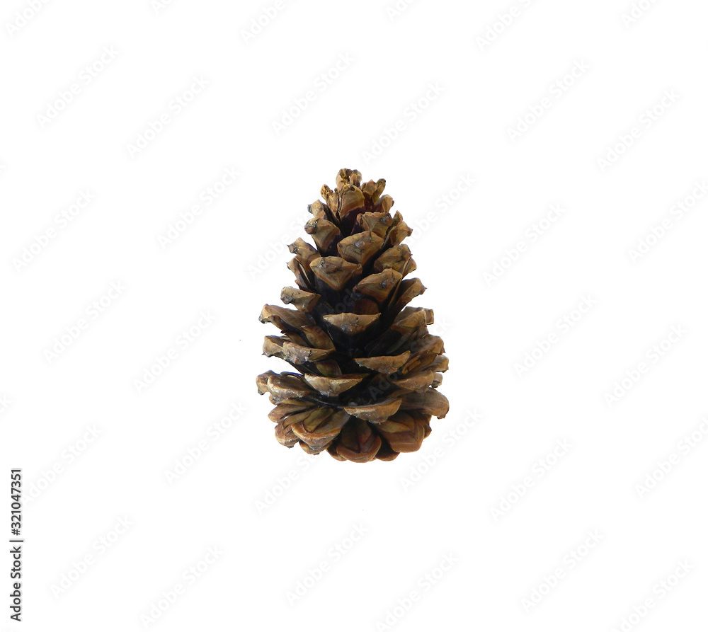 bump isolated on white background bump isolated on white background