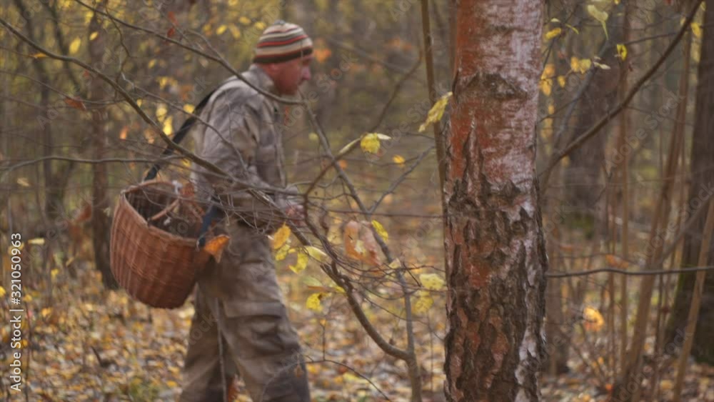 A man in gray camouflage, walks through the guest forest among birches, in late autumn, in the early morning, on raw yellow leaves, with a wicker basket on his shoulder and looking for mushrooms A man in gray camouflage, walks through the guest forest among birches, in late autumn, in the early morning, on raw yellow leaves, with a wicker basket on his shoulder and looking for mushrooms