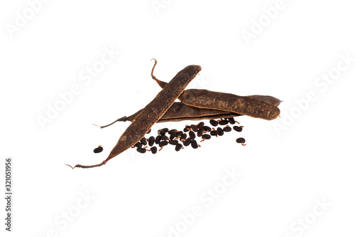 acacia seeds isolated on white background