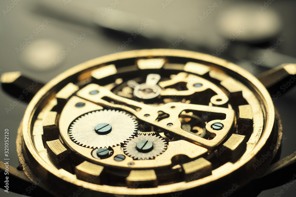 Watchmaker is repairing the wristwatch, mechanical watch Watchmaker is repairing the wristwatch, mechanical watch