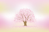 花びら散る桜の木