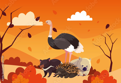 cute card with animals of australia