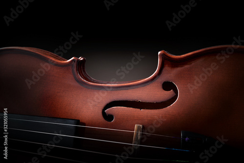 Violin body and strings detail with dark background