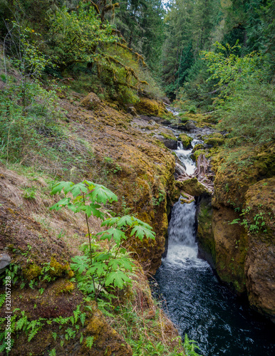 Dazzling Deschutes Falls plunging over the cliff into a breathtaking canyon surrounded by green bushes in Thurston County Yelm Washington State