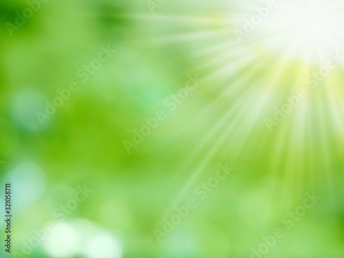 abstract background spring green yellow blurred forest