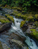 Dazzling Deschutes river cascading thru the canyon surrounded by moss in Deschutes Park  Yelm Thurston county Yelm Washington State
