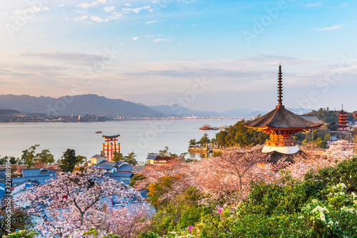 Miyajima Island, Hiroshima, Japan in Spring photo